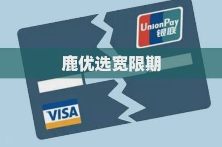 鹿优选借款：看清条款，借得安心