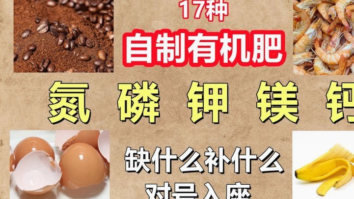 美团买药套现的6种方法是什么