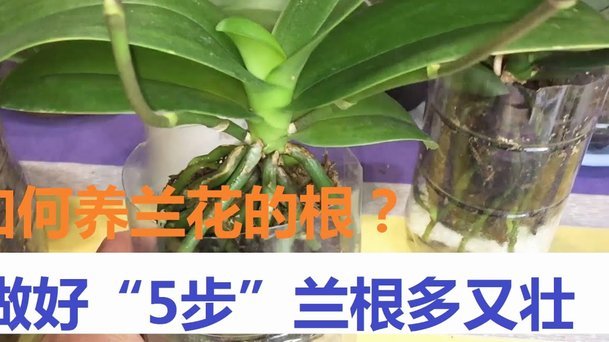 携程券用不了？深度解析优惠券失效背后的系统原因