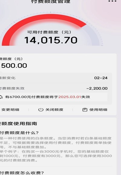 白条加油额度能套出来吗