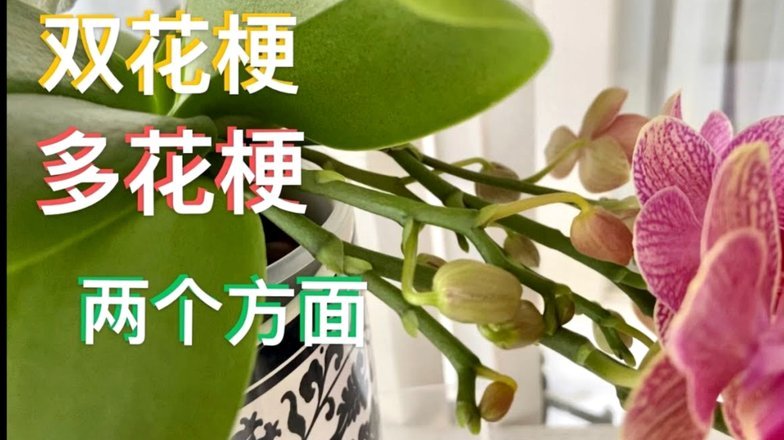 花呗取现变现？警惕陷阱与合法变现思路全攻略