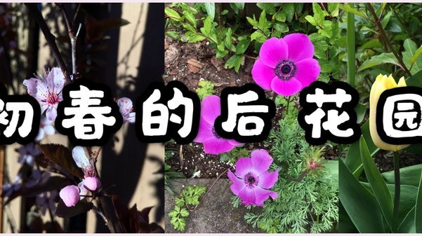 套花呗商家潜藏的风险预警
