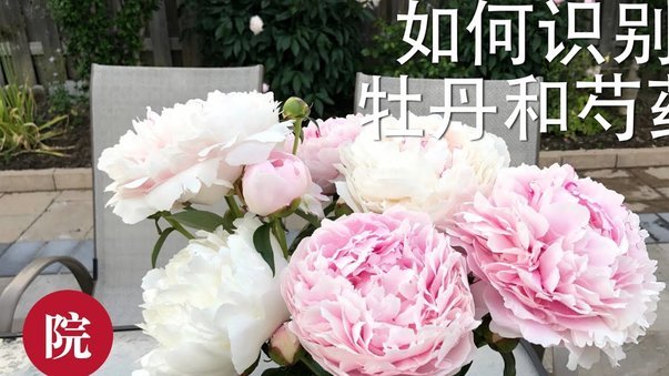 套花呗商家有风险吗