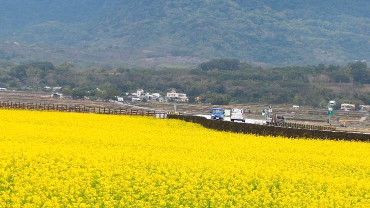 花呗秒套：风险与真相