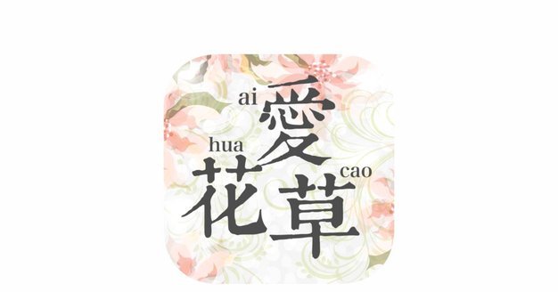 花呗取现App推荐：最全实用指南
