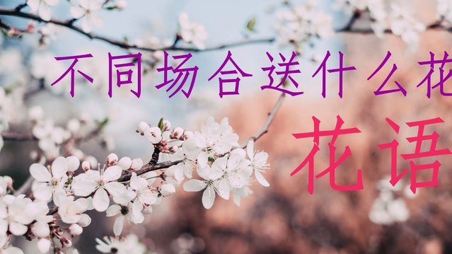 花呗秒套平台是真的吗 怎么投诉