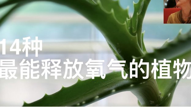 花呗秒套平台是真的吗 怎么投诉