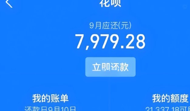 解析花呗套现软件的运作原理及其背后的安全风险
