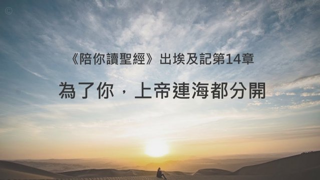 分期乐额度怎么套出来文全