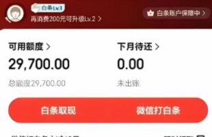白条提现额度怎么提升