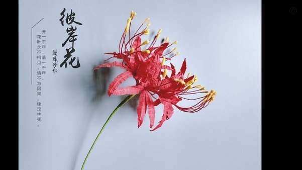 拿去花可以提现么