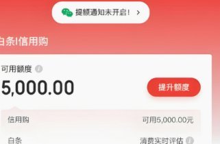 白条秒到手续费多少