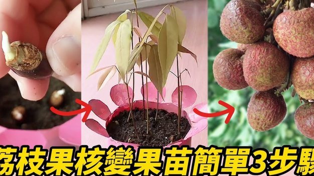 便荔卡套现秘籍指南
