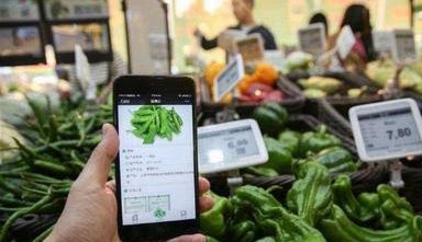 得物快速变现背后的挑战与机遇