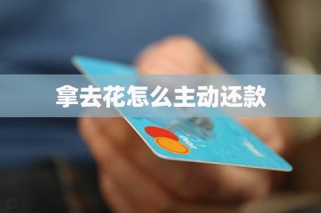 拿去花额度怎么用