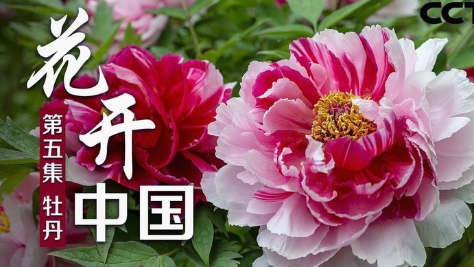 拿去花账单在哪里看