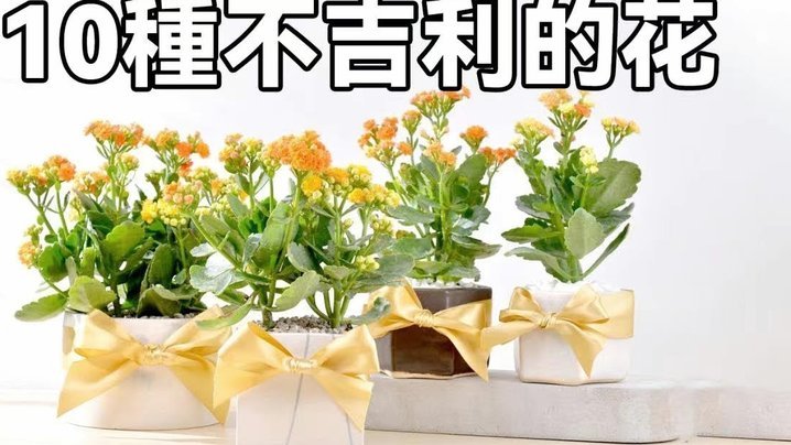 携程拿去花怎么自己套出来
