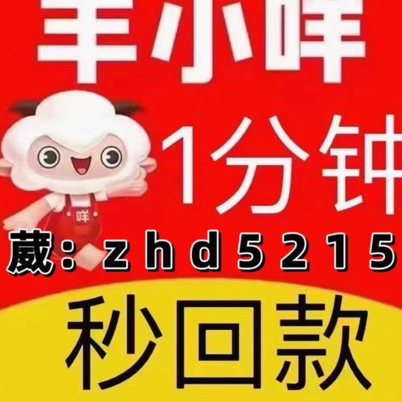 羊小咩的钱包在哪里