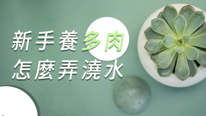 得物里面余额怎么用