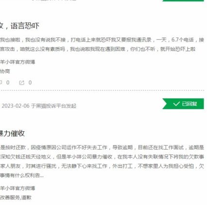 揭秘“羊小咩”背后的数字支付秒到账机制与风险思考