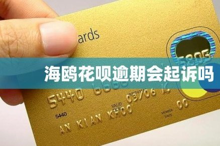 海鸥花呗平台 出来多少钱