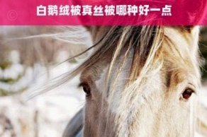 美团月付取现500元丢失？可能是这几个原因和恢复步骤