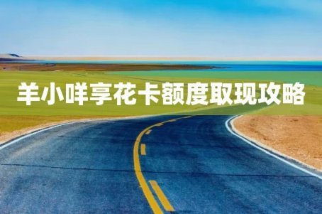 2025羊小咩享花卡取现新潮流