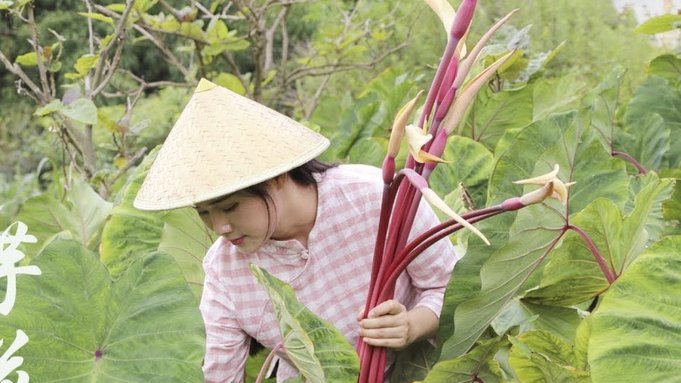 花呗使用攻略：如何实现理性消费与资金高效管理