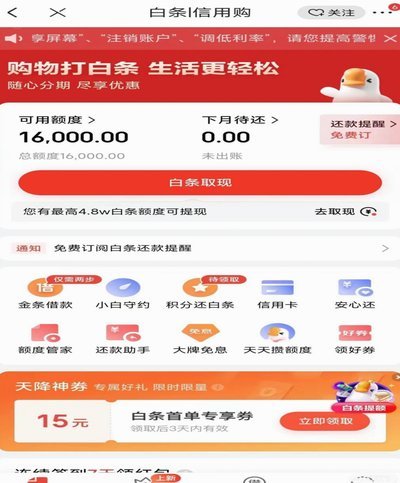 白条可取现额度
