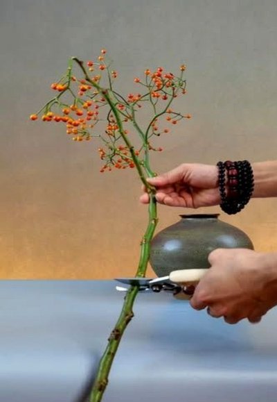 花呗提现怎么操作