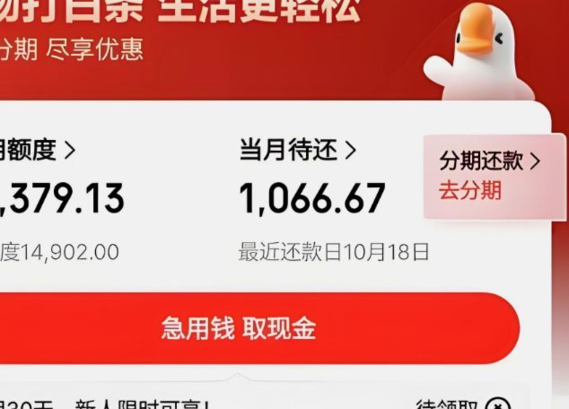 如何能把白条里的钱取出来