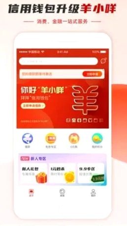揭秘“羊小咩额度取现”背后的机遇与挑战
