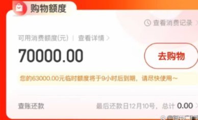 灵活支付与智能信用的购物新方式
