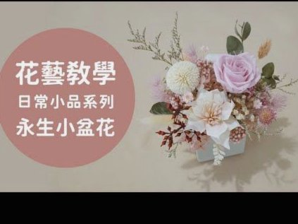 秒花花如何联系客服指南