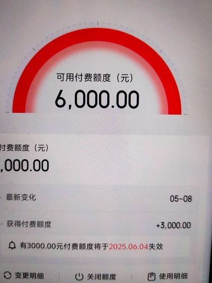如何合理使用搜狐视频白条额度