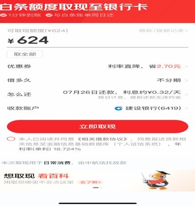 白条怎么套取现金il安诚小铺ws助富掌柜
