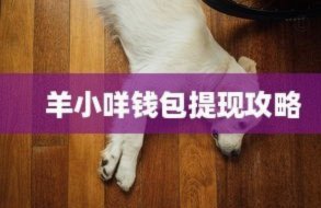 羊小咩便荔卡提现功能解析