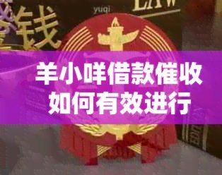 羊小咩借款入口详解在哪找