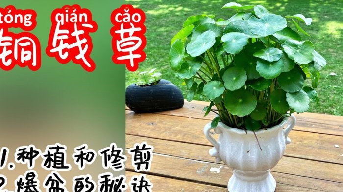 “花呗背后的秘密：聪明利用之道”