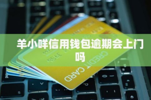 羊小咩借款App深度解析：安全便捷的资金周转方案