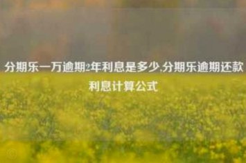 分期乐利率全解析：你的贷款成本究竟是多少？